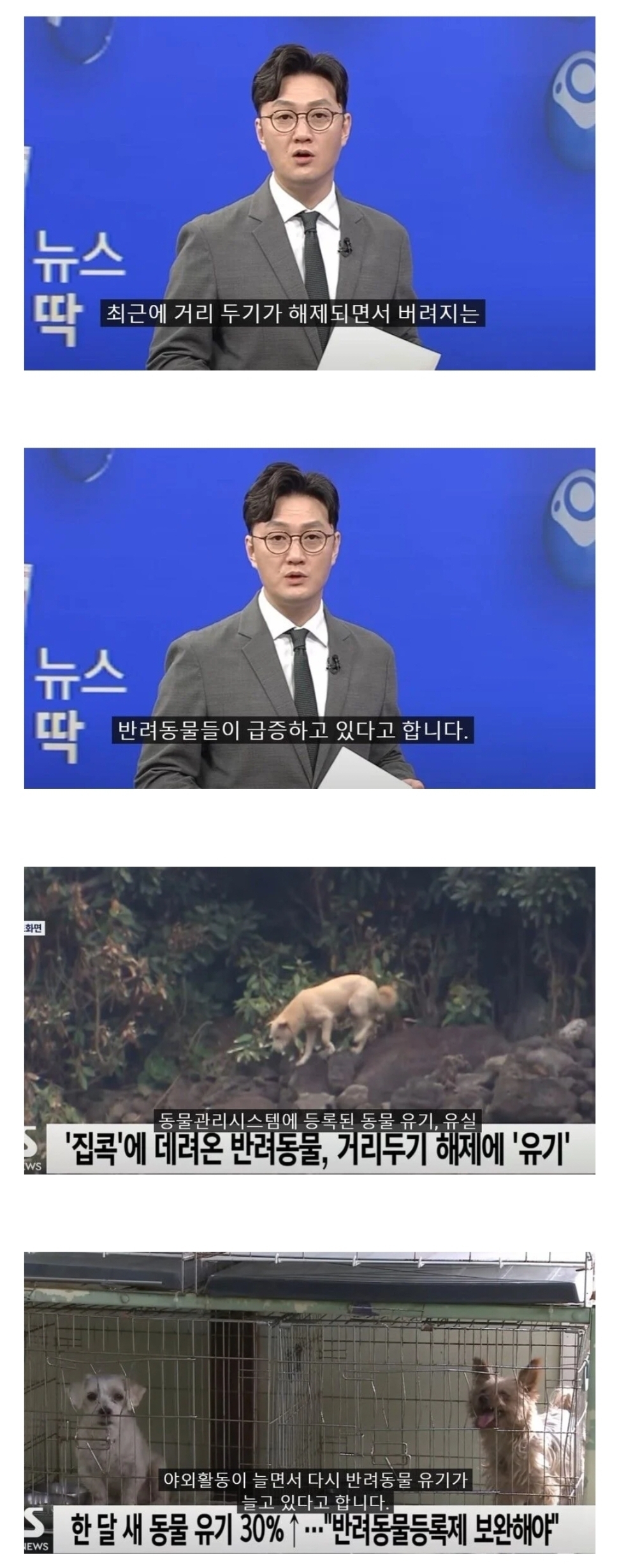거리두기 해제후에 급격히 증가 중인 것.jpg | 인스티즈