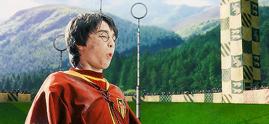 해리포터 팬들 사이에서 갈리는 유형 | 인스티즈