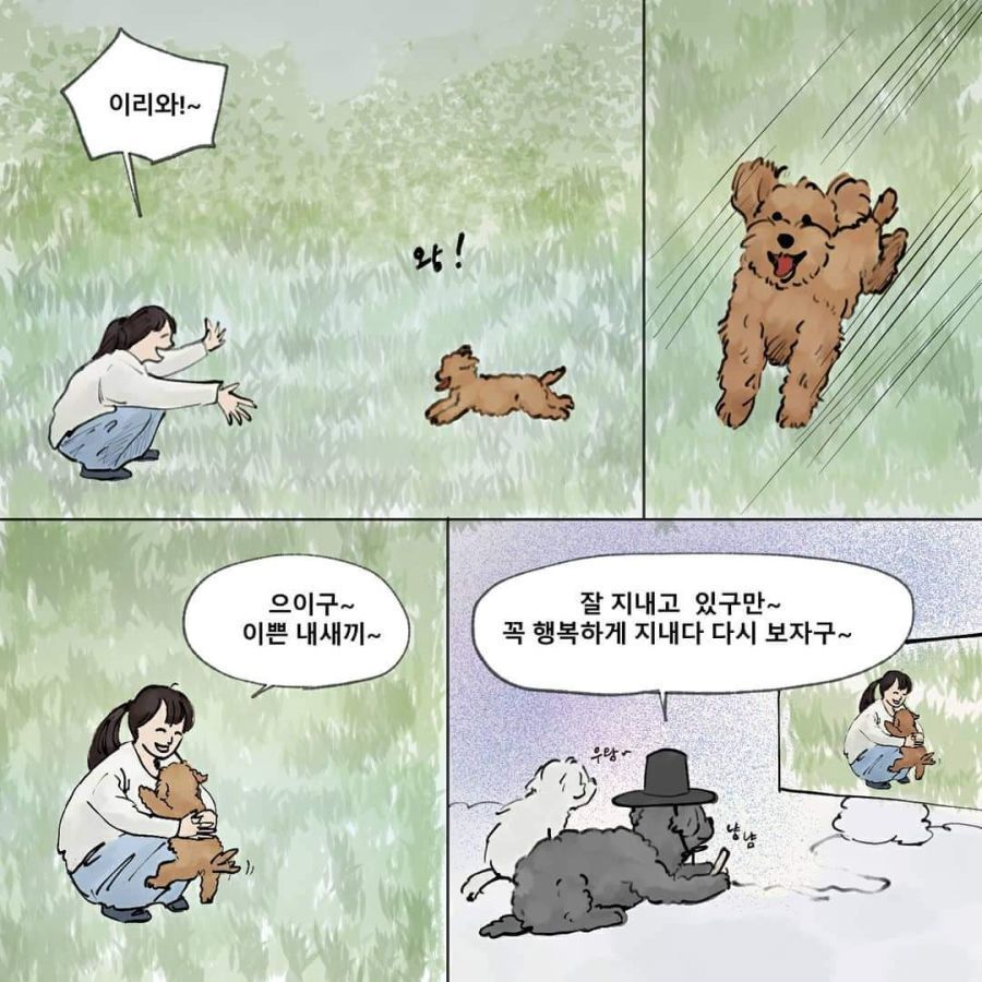 환생하려는 강아지 | 인스티즈