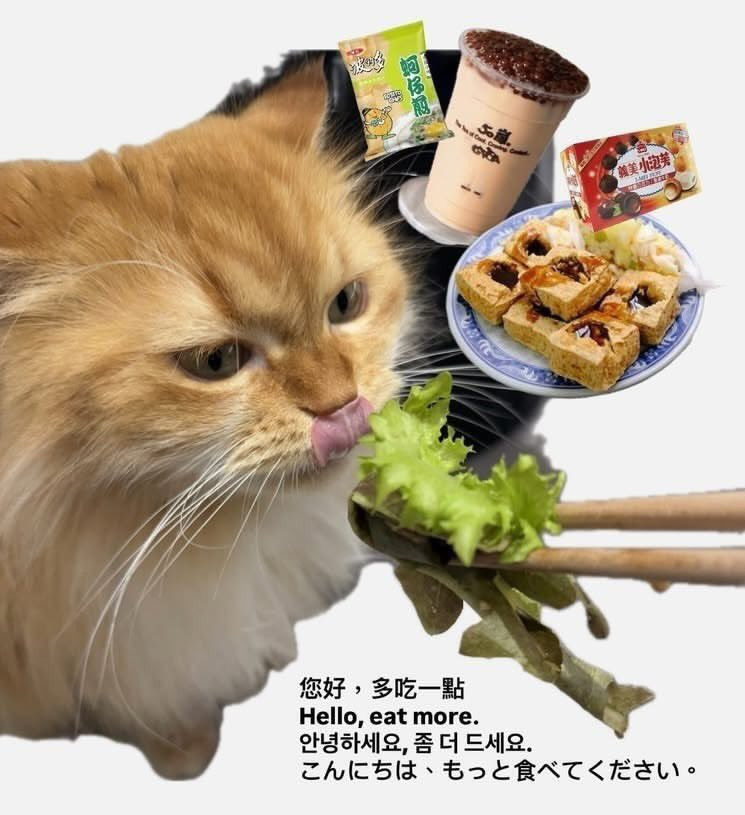 대만여행 왔다는 글 추천으로 뜨면 대만 사람들 다 댓글에 이런거 올리고 사라지는게 너무 웃김 | 인스티즈