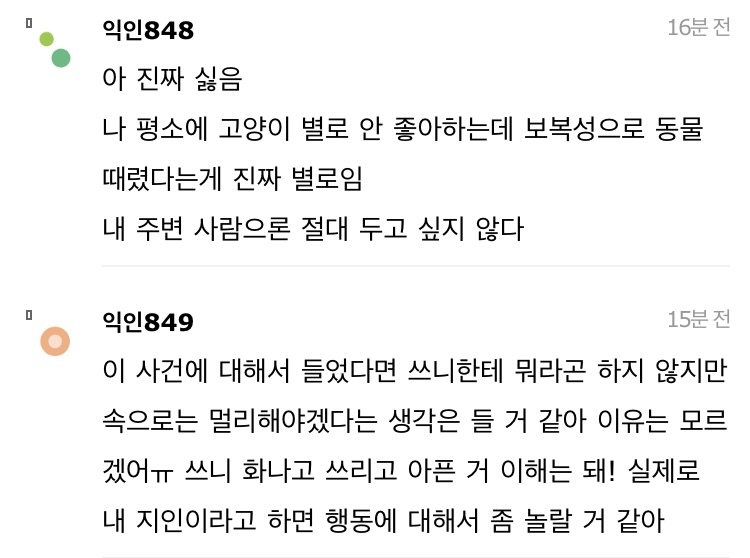 길고양이 한대 때렸는데 내가 잘못한거냐 | 인스티즈