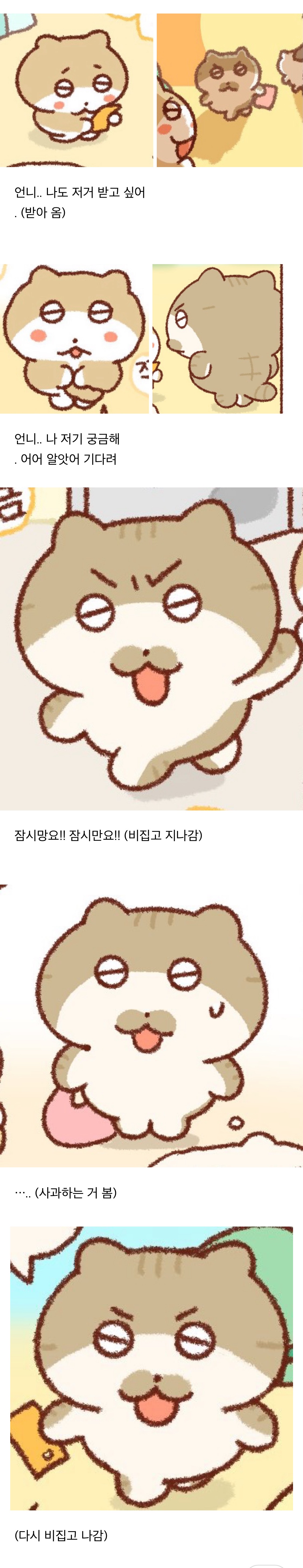 이 냥텐츠 ㄹㅇ 미니베리 같다 | 인스티즈