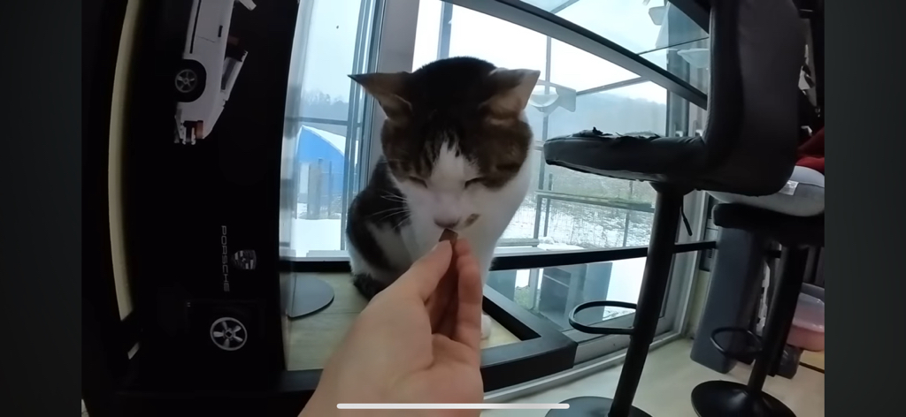 [hahaha] 도라에몽이 된 무(feat.무라에몽) | 인스티즈