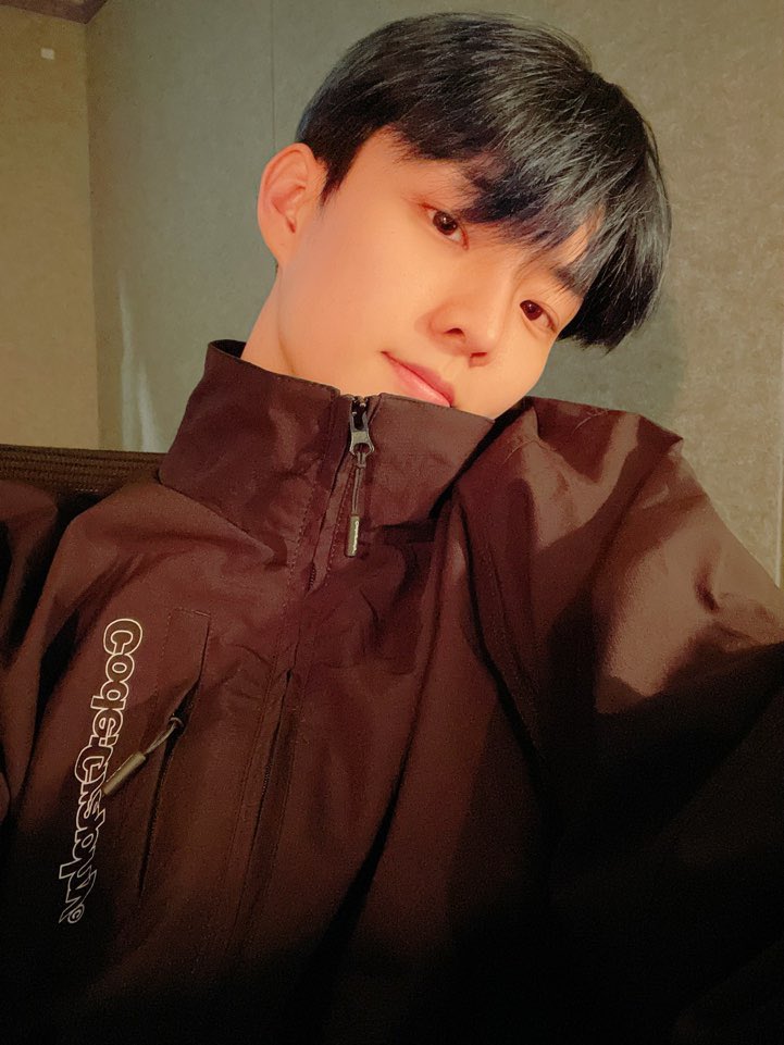 디비 이미지