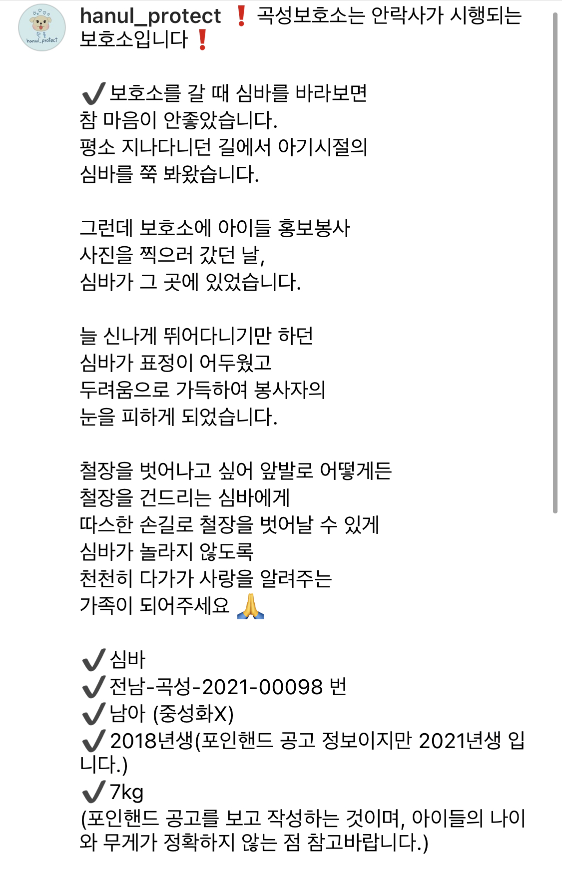 심바 이번주 안락사 확정 | 인스티즈