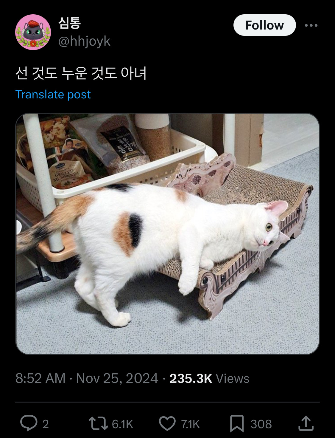 중안부가 저렇게 기니까 사랑 못받은거임.twt | 인스티즈