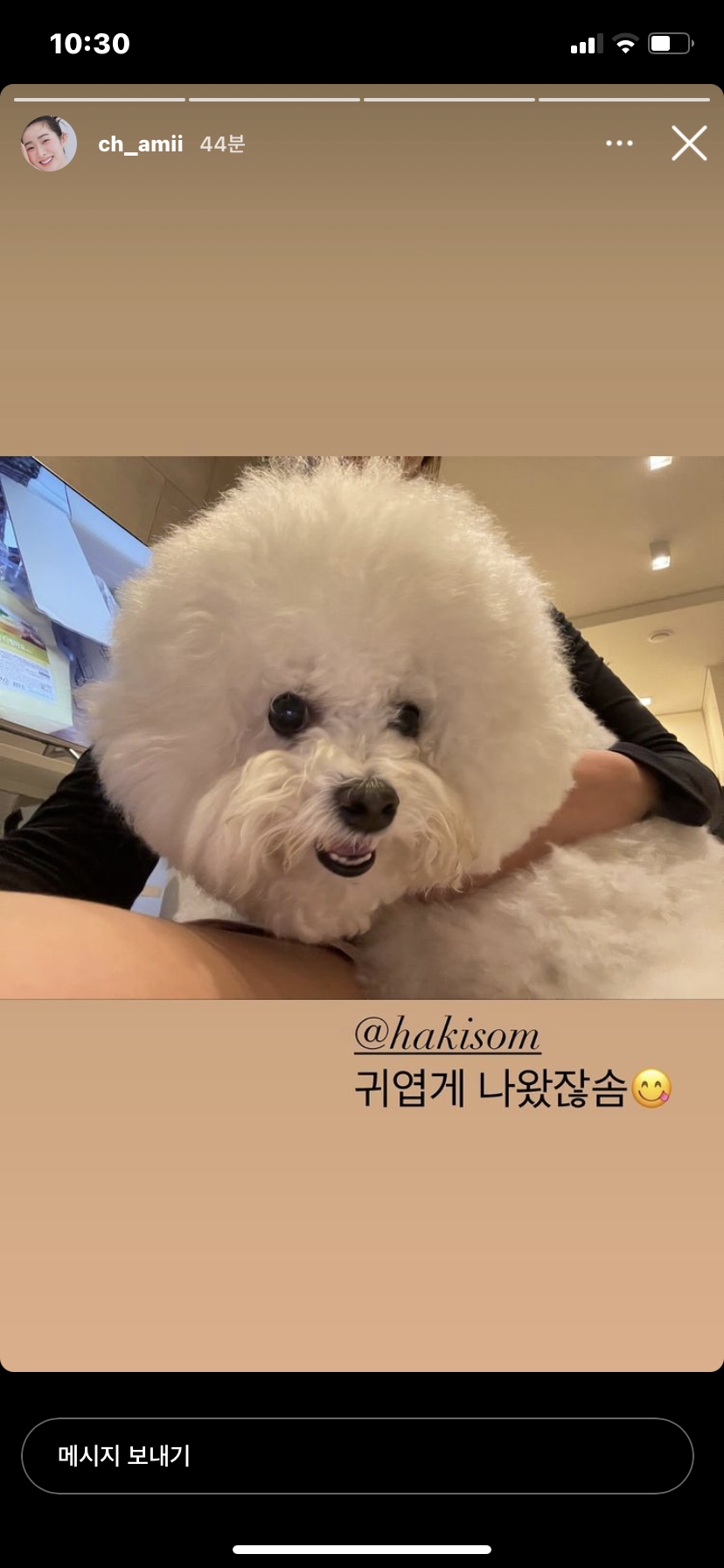 가부 이미지
