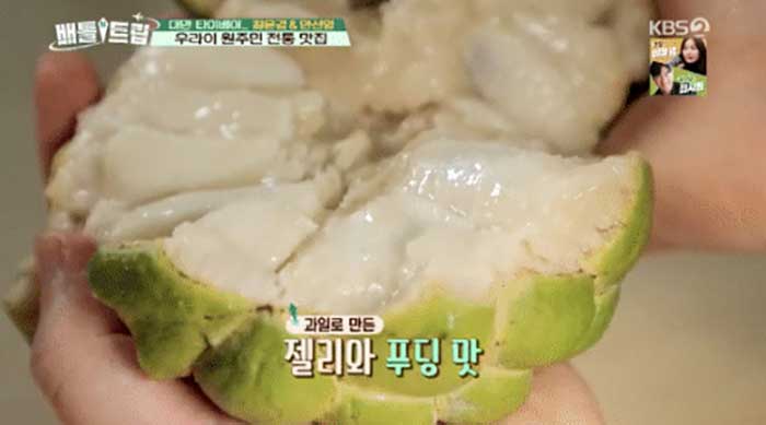한국에는 수입안되는 과일 | 인스티즈