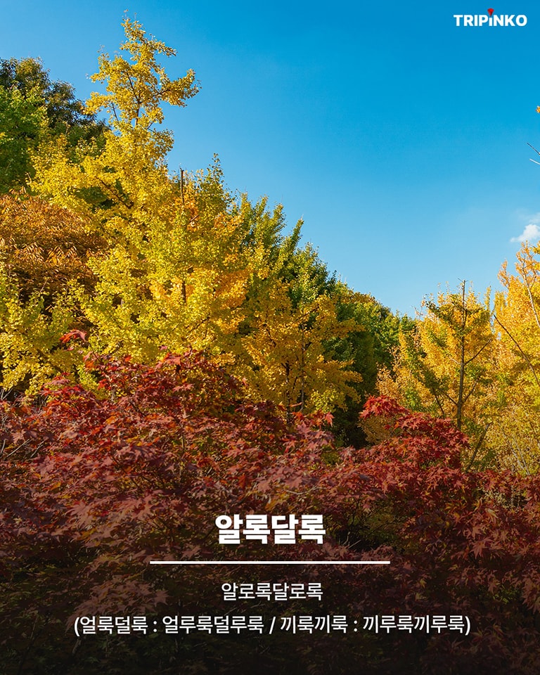 피아노가 줄임말이었어? | 인스티즈