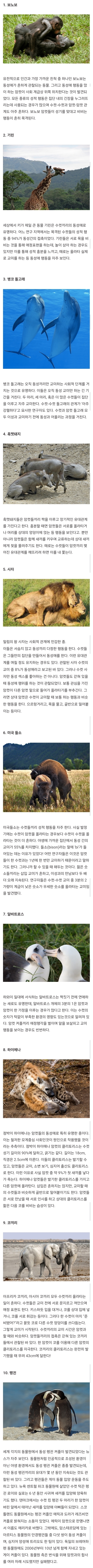 전 세계 1500종의 동물이 '동성애'를 한다 | 인스티즈