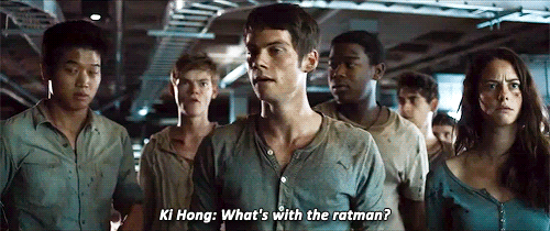 판타지 시리즈 영화 중 최애는? | 인스티즈