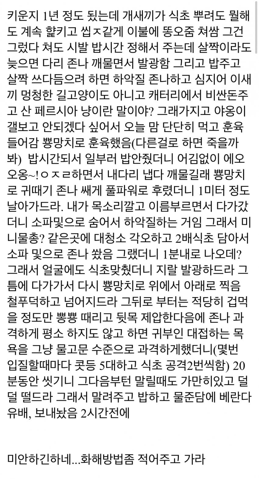 오늘 고양이 훈육했음 (후기 및 방법) | 인스티즈