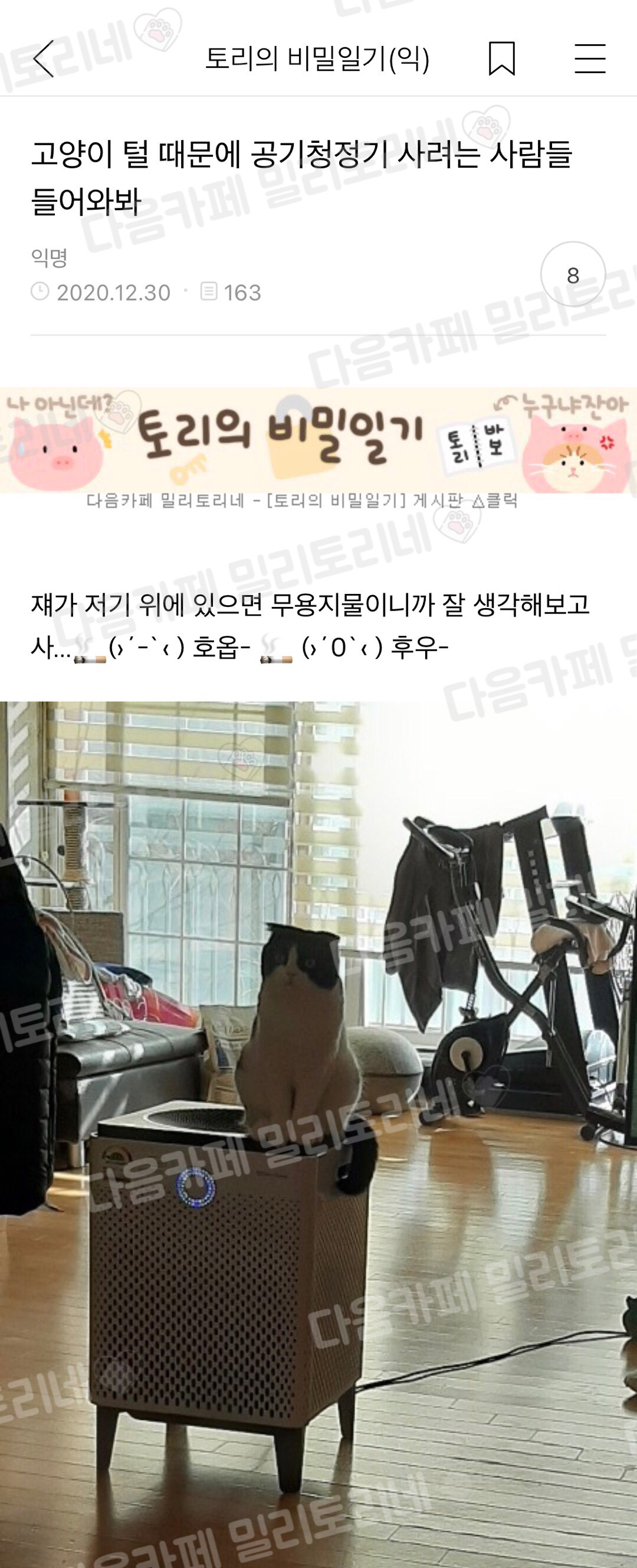 고양이 털 때문에 공기청정기 사려는 애들아 | 인스티즈