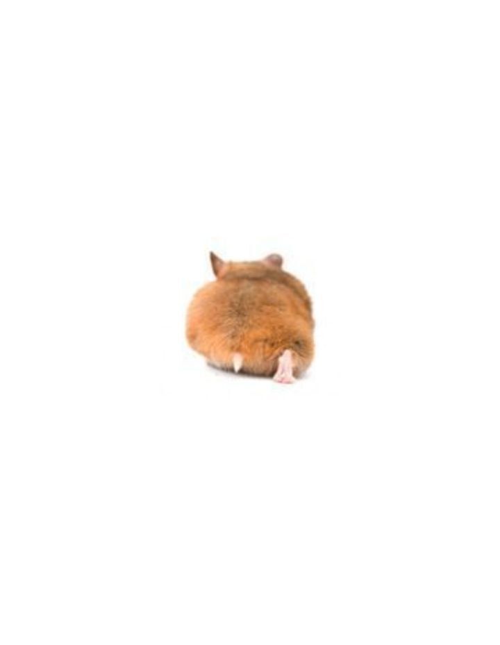 터벅 이미지