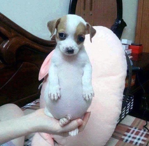 아 이미지