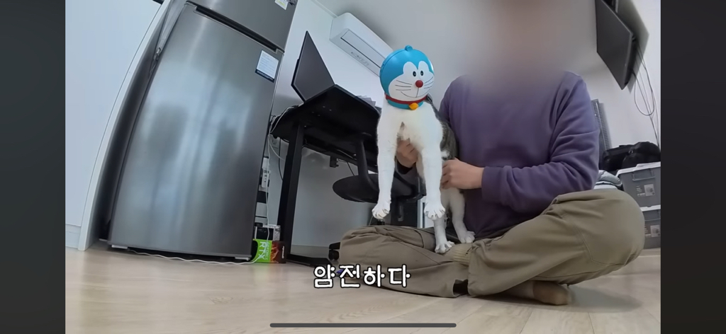 [hahaha] 도라에몽이 된 무(feat.무라에몽) | 인스티즈