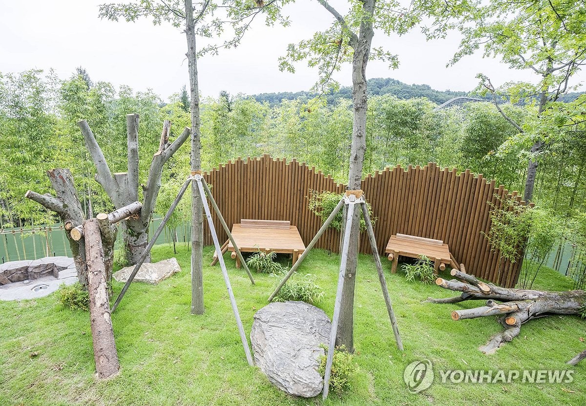 세컨하우스 적응 중인 루이바오-후이바오.jpg | 인스티즈
