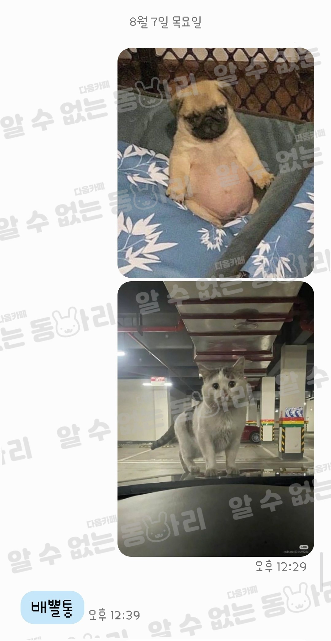 이상한짤 보냈을때 울엄마 답장 모음 | 인스티즈