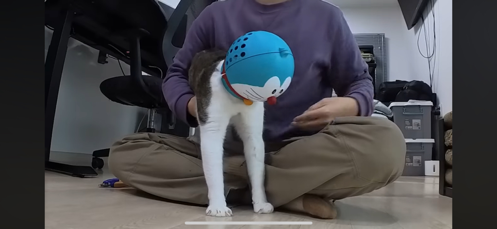 [hahaha] 도라에몽이 된 무(feat.무라에몽) | 인스티즈