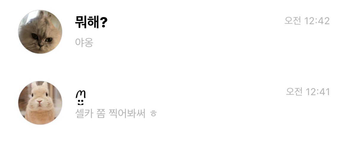 버블로 만우절 장난치는 엔믹스 멤버들 | 인스티즈