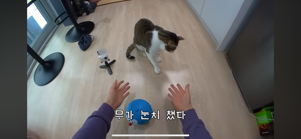 [hahaha] 도라에몽이 된 무(feat.무라에몽) | 인스티즈