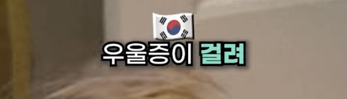 호주 사는 유튜버가 말하는 호주에 의외로 우울증이 많은 이유.jpg | 인스티즈