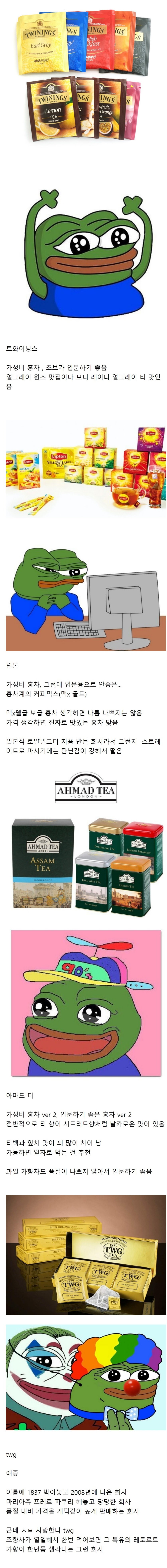 홍차, 녹차 덕후의 티 브랜드 평가 | 인스티즈