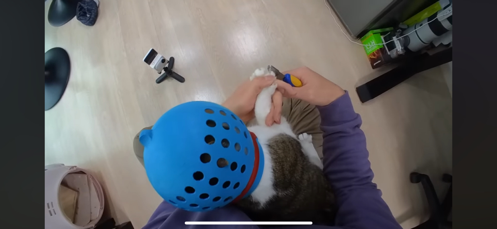 [hahaha] 도라에몽이 된 무(feat.무라에몽) | 인스티즈