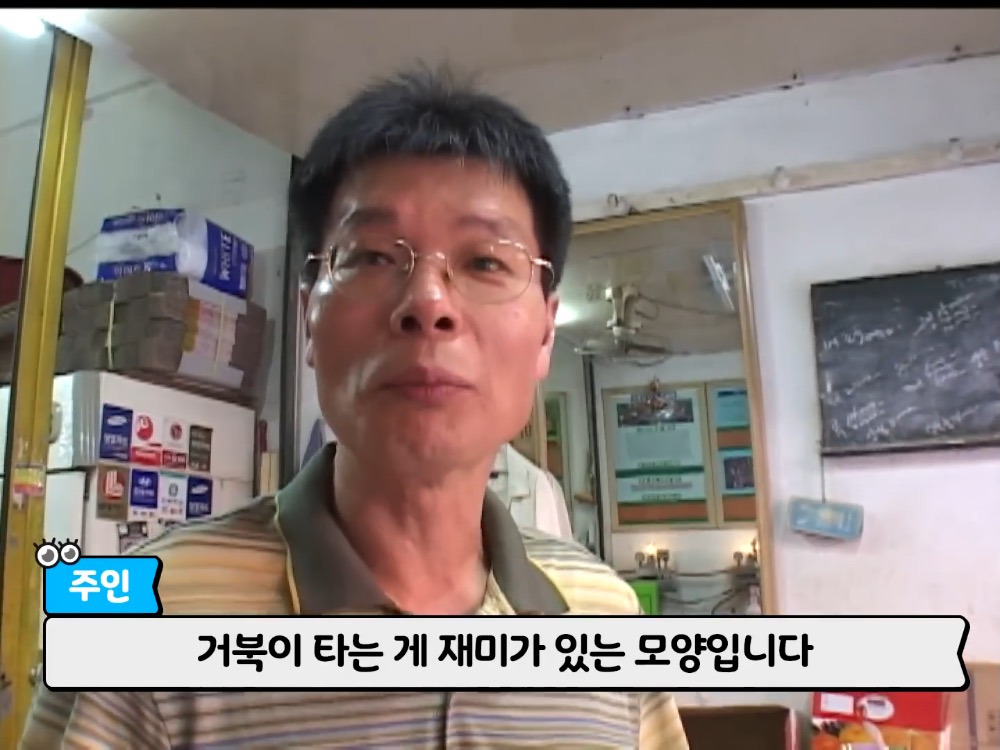 거북이 오너 고양이 | 인스티즈