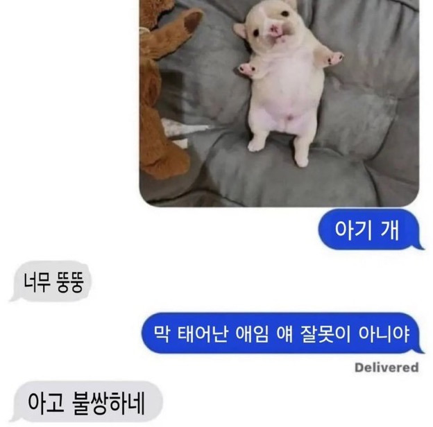 이광수를 목에 두른다고 생각하니까 좀 의아해서요... | 인스티즈
