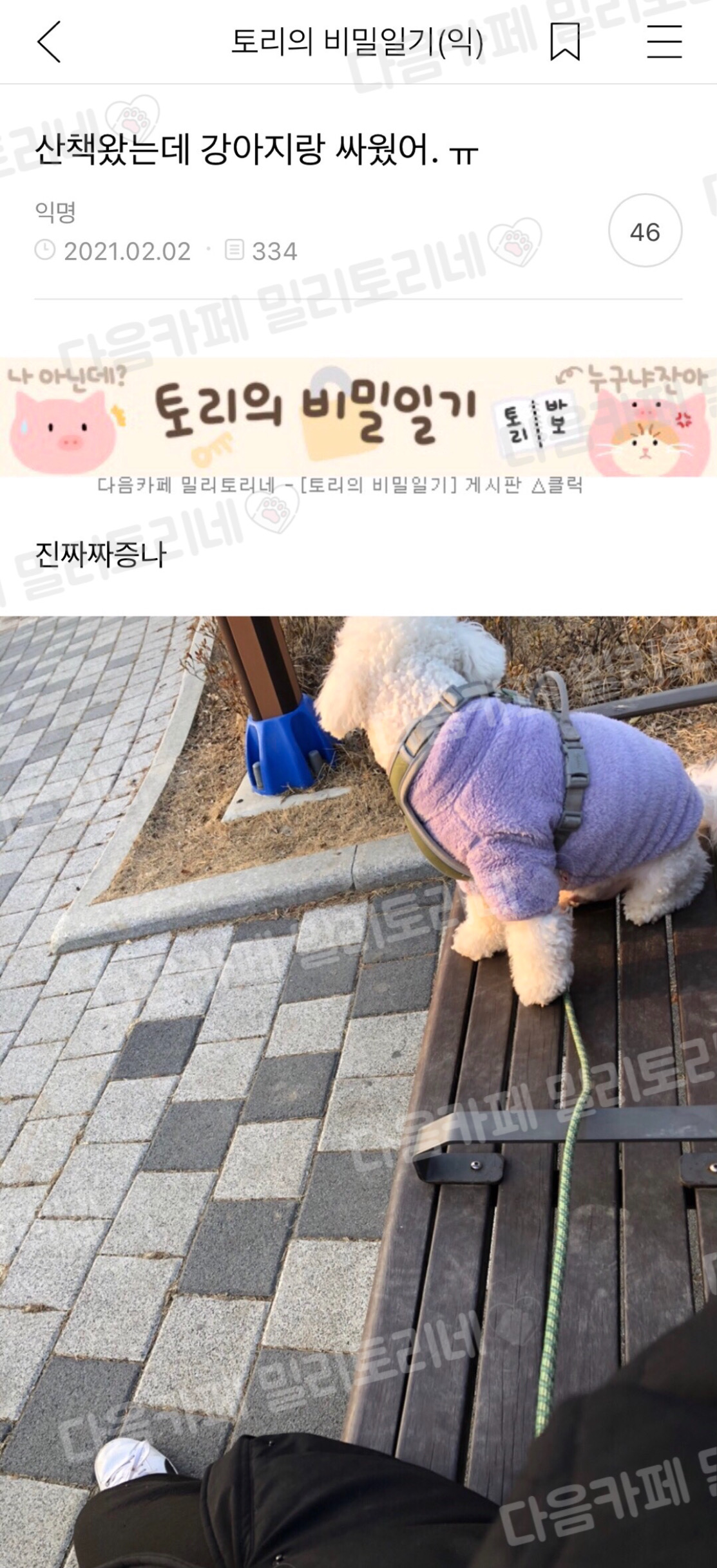 산책왔는데 강아지랑 싸웠어 ㅠ | 인스티즈