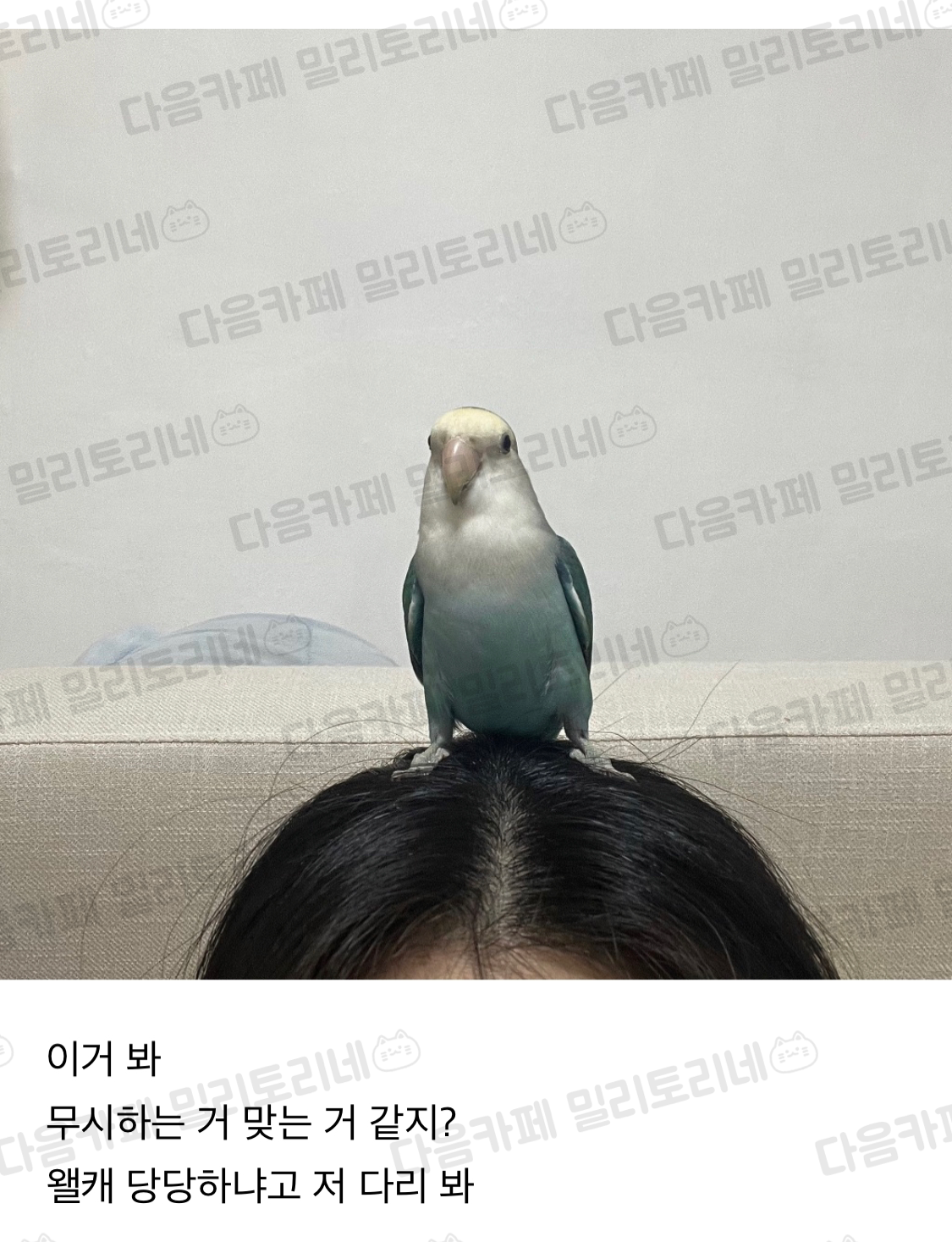 나 무시 당하는 거 맞지 | 인스티즈