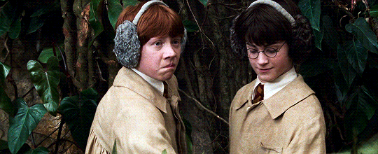 해리포터 팬들 사이에서 갈리는 유형 | 인스티즈