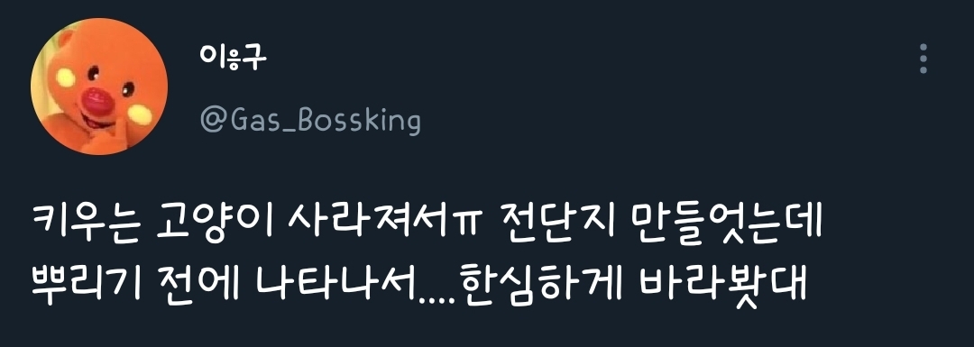 고양이 사라져서 전단지 만들었는데 뿌리기 전에 나타나서 한심하게 쳐다봄 | 인스티즈