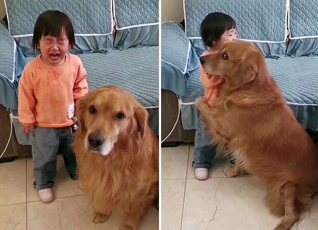 주인 이미지
