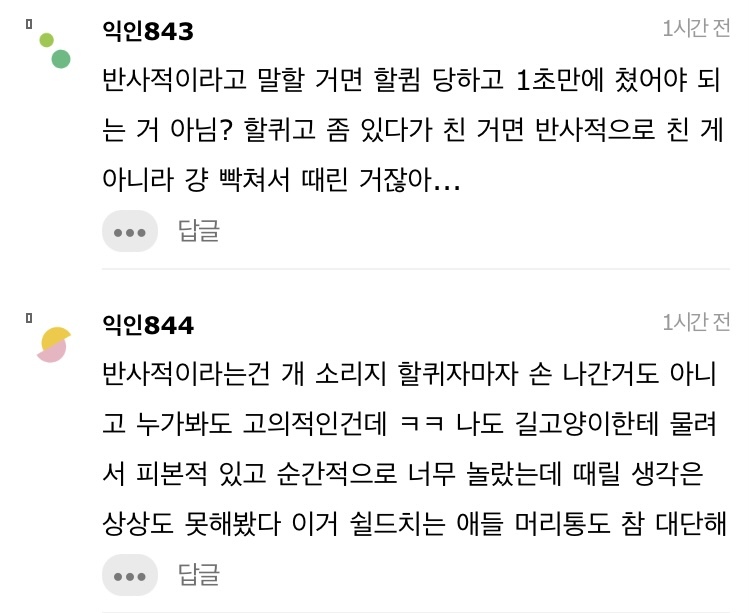 길고양이 한대 때렸는데 내가 잘못한거냐 | 인스티즈