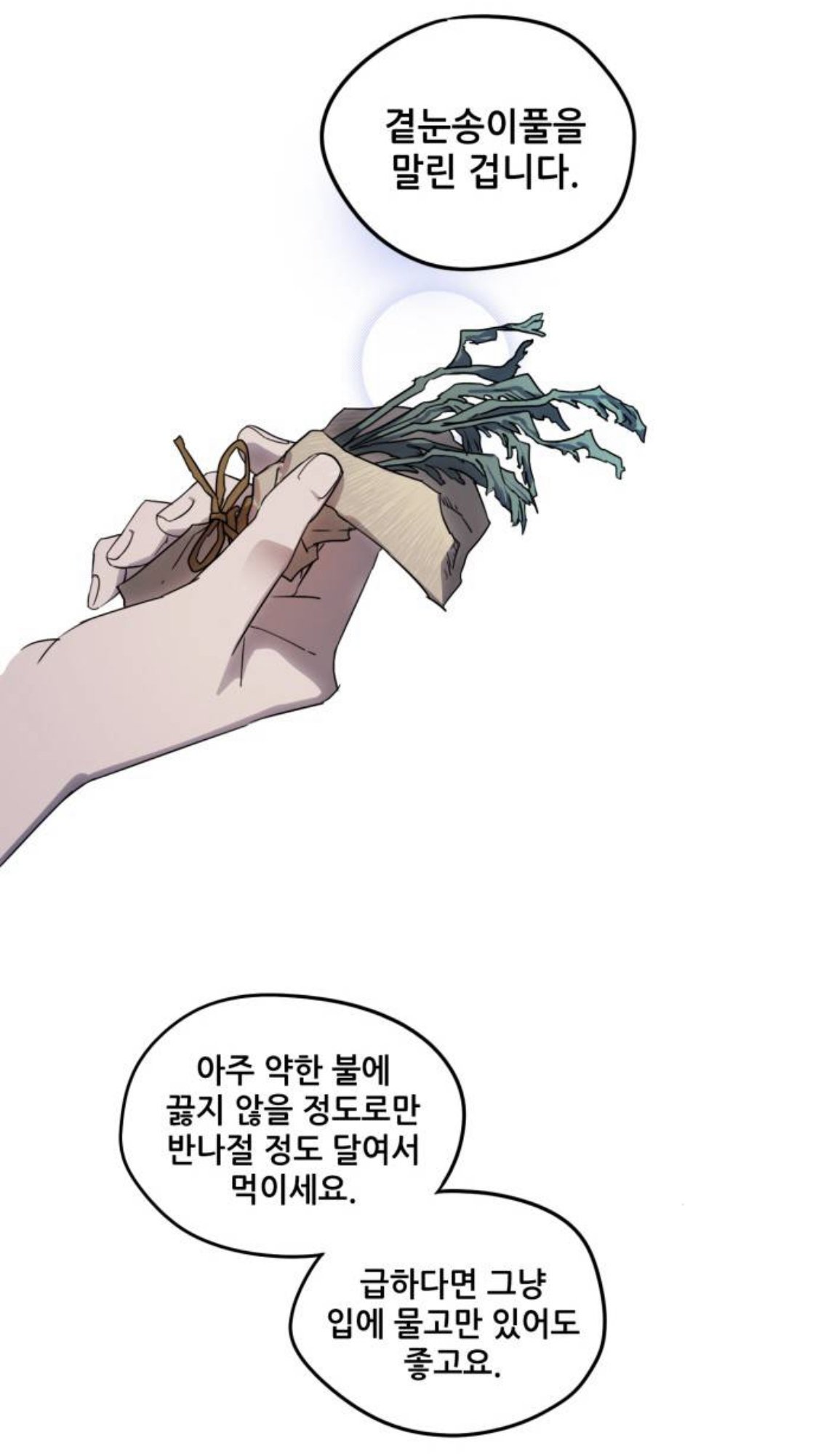 저는 패전국 약제사인데요.. 부모님을 죽인 승전국 전쟁영웅에게 복수하고 싶습니다 | 인스티즈