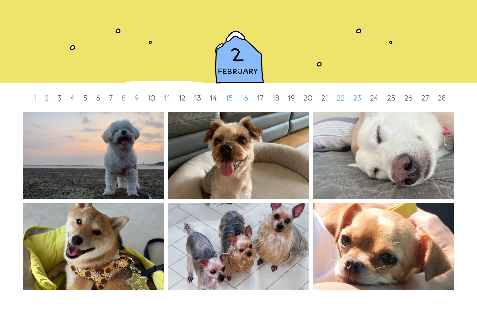 내년 캘린더 뭐 사지 🤔 전액 후원되는 유기견 캘린더는 어뗘요? 🐶 | 인스티즈