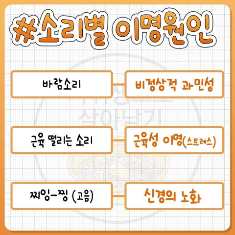 이명 잦은 사람들 귀에서 나는 소리별 이명 원인.jpg | 인스티즈