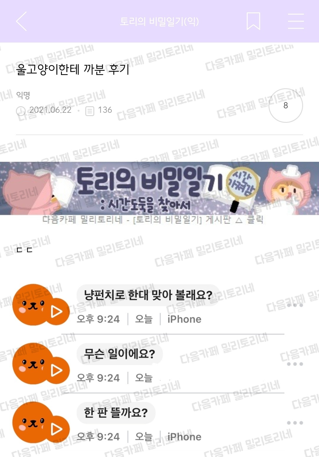 울 고양이한테 까분 후기 | 인스티즈