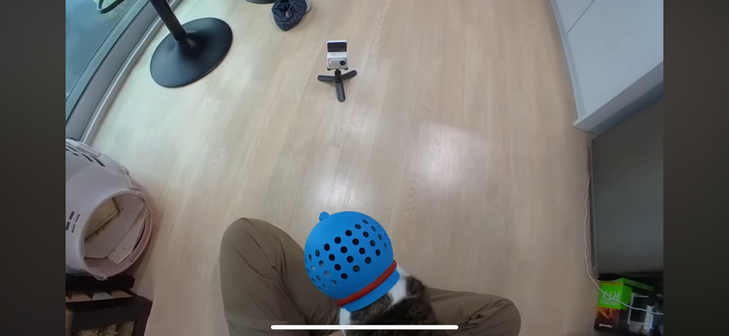 [hahaha] 도라에몽이 된 무(feat.무라에몽) | 인스티즈