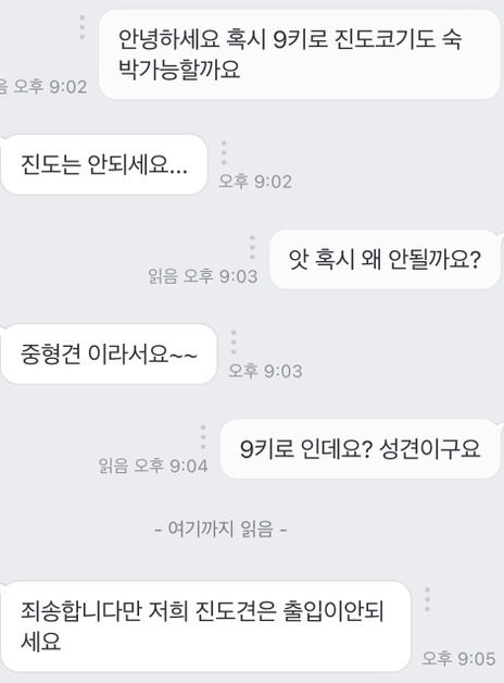 대부분의 반려견시설 이용이 불가한 진돗개+진도믹스 | 인스티즈