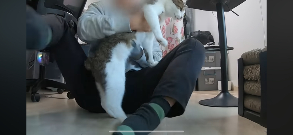 [hahaha] 도라에몽이 된 무(feat.무라에몽) | 인스티즈