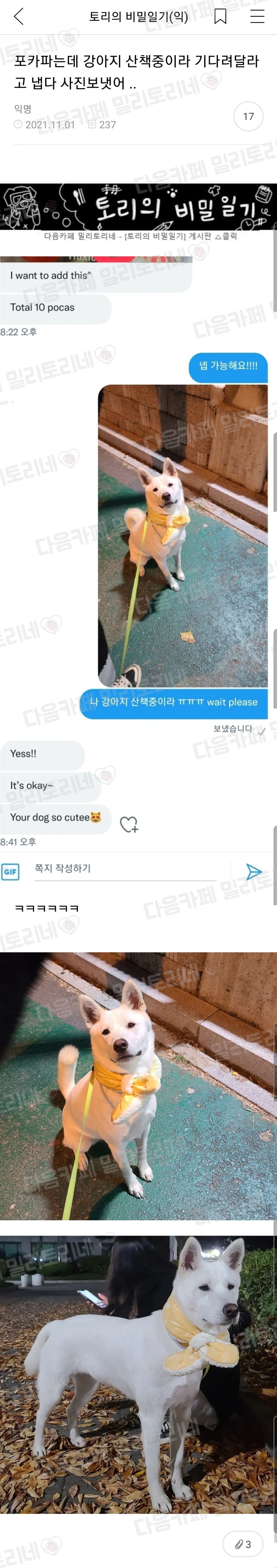포카파는데 강아지 산책중이라 기다려달라고 냅다 사진보냇어 .. | 인스티즈