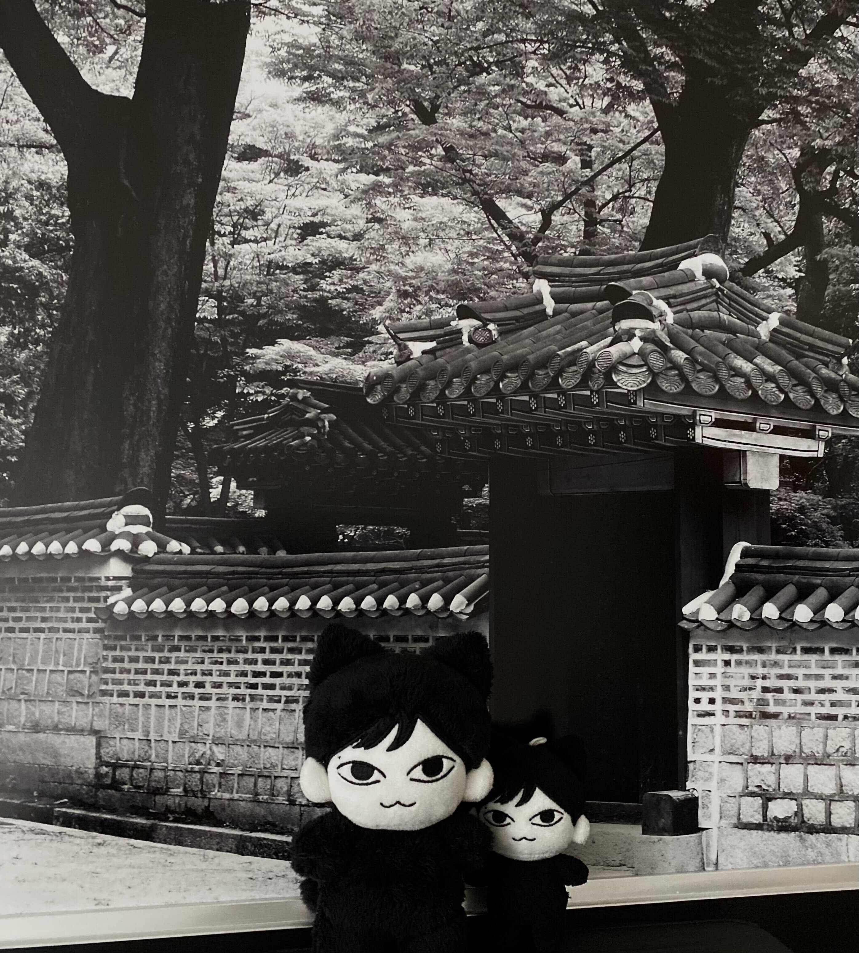 정말 특이해서 현대예술이라는 평을 듣는 주연인형계 | 인스티즈