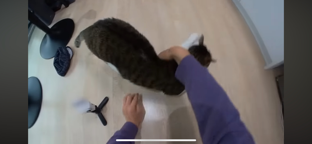 [hahaha] 도라에몽이 된 무(feat.무라에몽) | 인스티즈