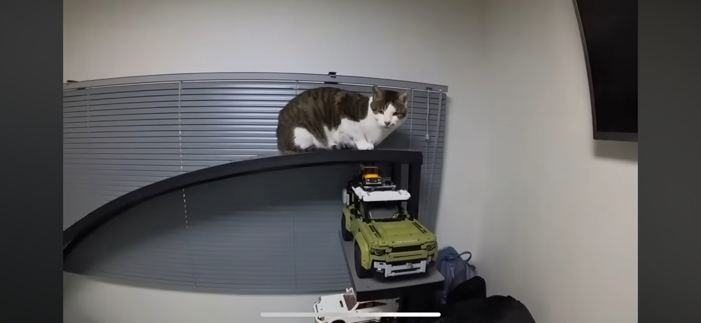 [hahaha] 도라에몽이 된 무(feat.무라에몽) | 인스티즈