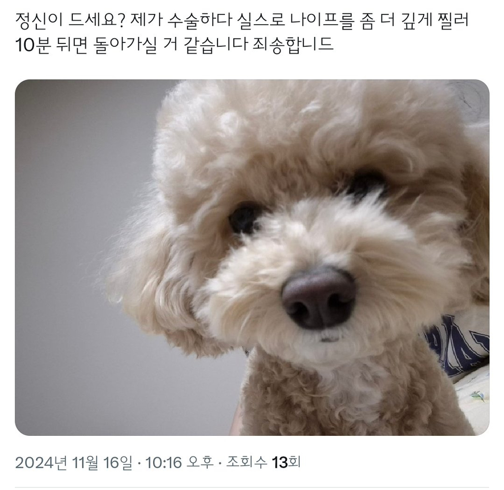 인 이미지