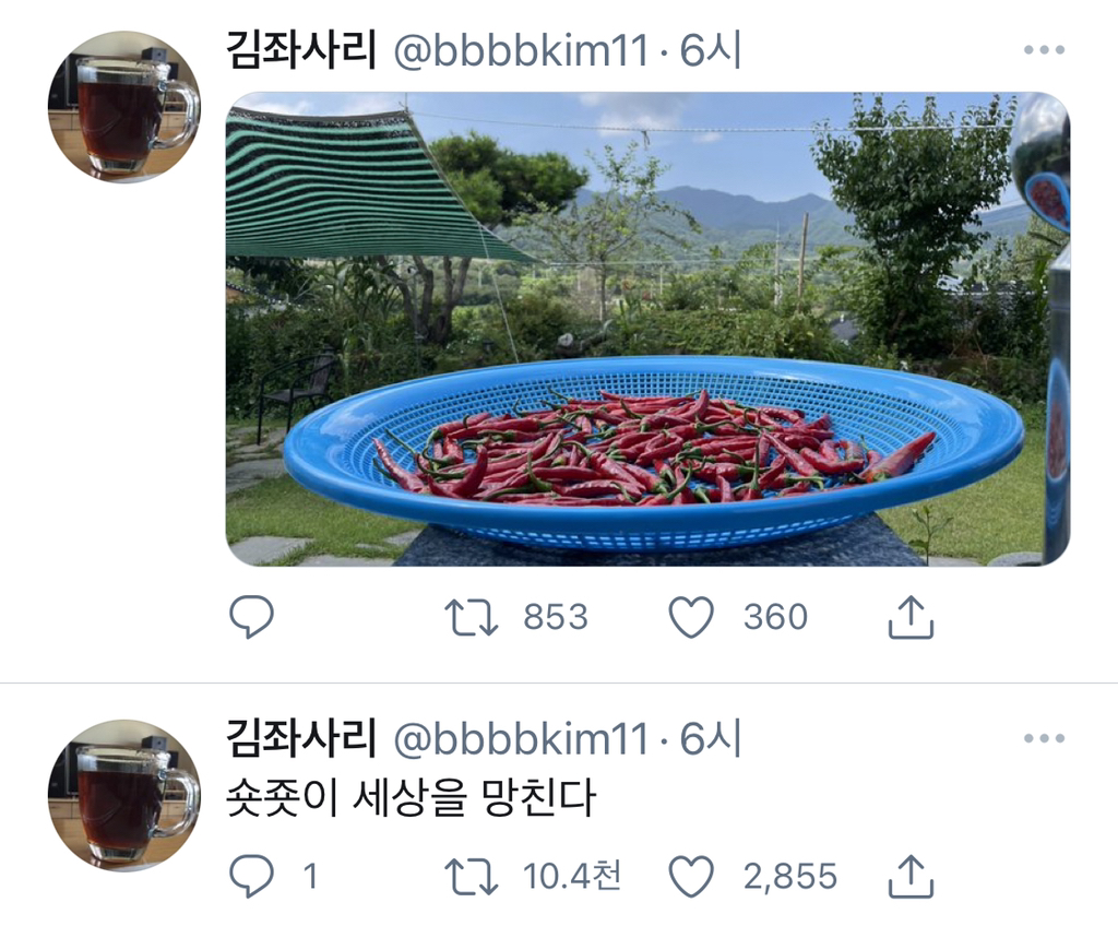 충남도의원 당선되신 김명숙 의원 (배우 김기천님 동생) | 인스티즈