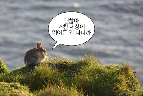 아임파인 이미지